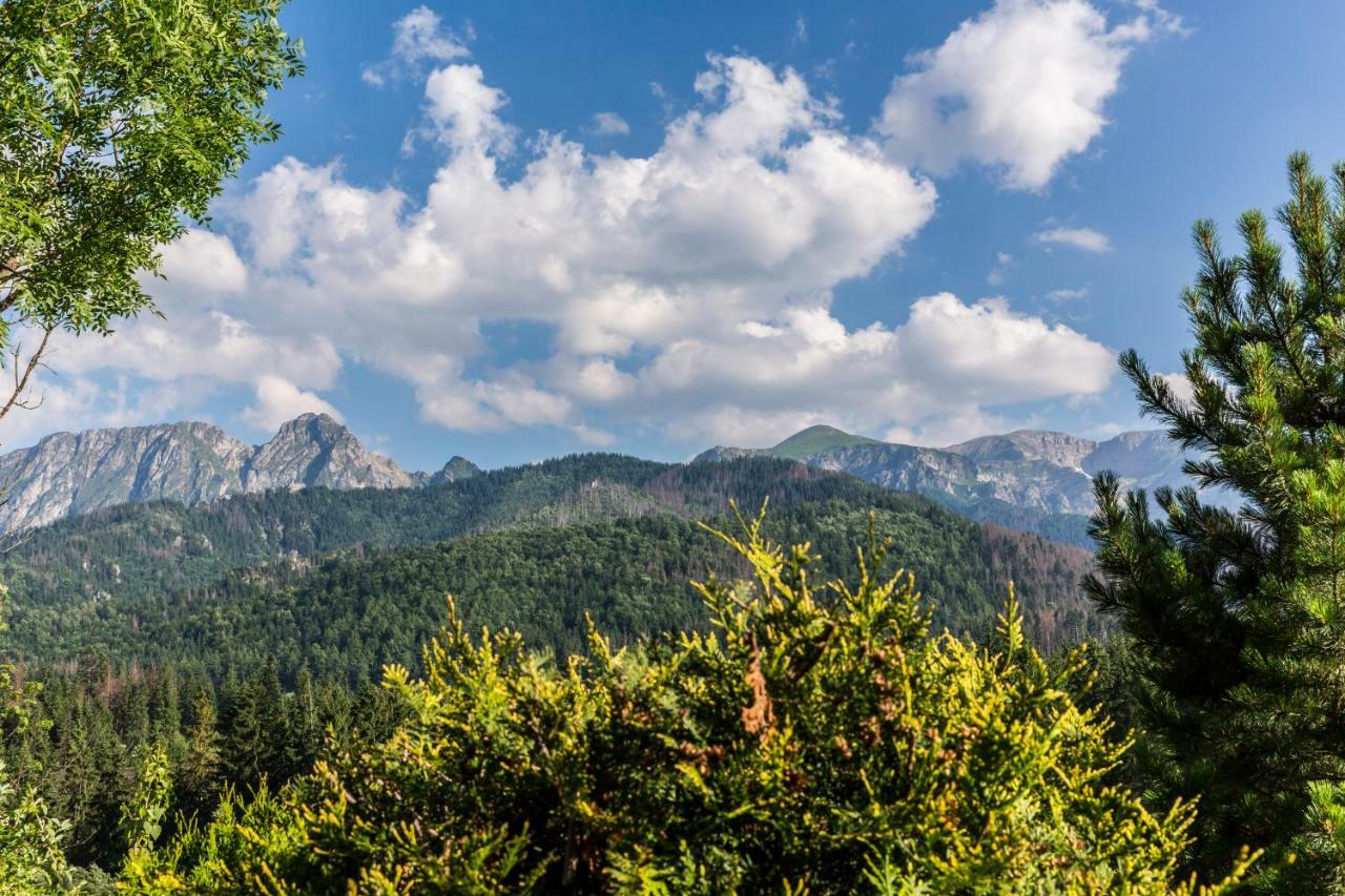 Domy Sywarne Z Sauna I Widokiem Na Gory Kościelisko Esterno foto